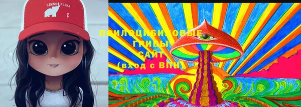 соль ск Осинники