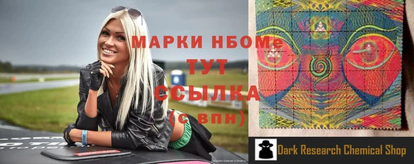 Альфа ПВП Верея