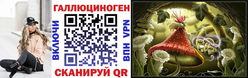 Галлюциногенные грибы Psilocybine cubensis Павлово
